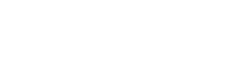 Stefmeister Logo